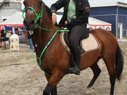 IMG_0822_web